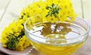 فوائد الطبخ بزيت الكانولا
