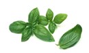 فوائد الريحان (Basil) أو الحبق