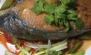 وجبة سمك الكنعد ديراك وجبة تايلندية