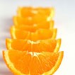 نَسَب العِتِر